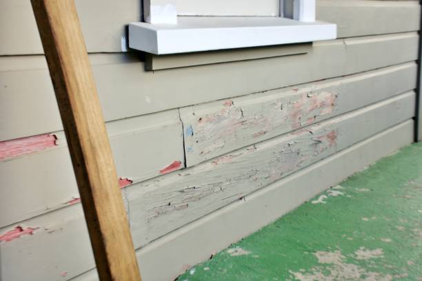 Best Siding Replacement  in USA